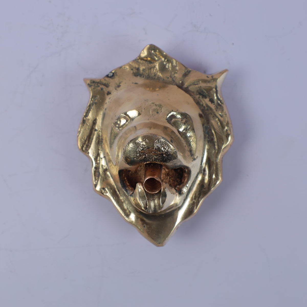 Handcrafted Solid Brass Lion Head Wall Mounted Garden Faucet