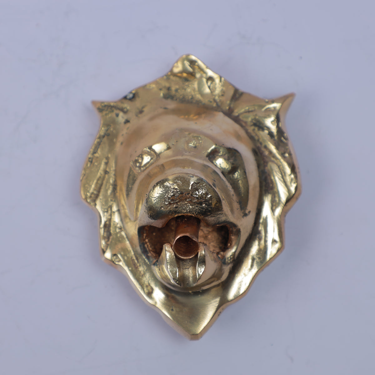 Handcrafted Solid Brass Lion Head Wall Mounted Garden Faucet